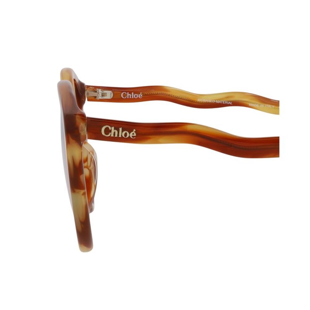 Chloé Cat Eye-Frame Bio Acetate Sunglasses - Picture 4 of 5